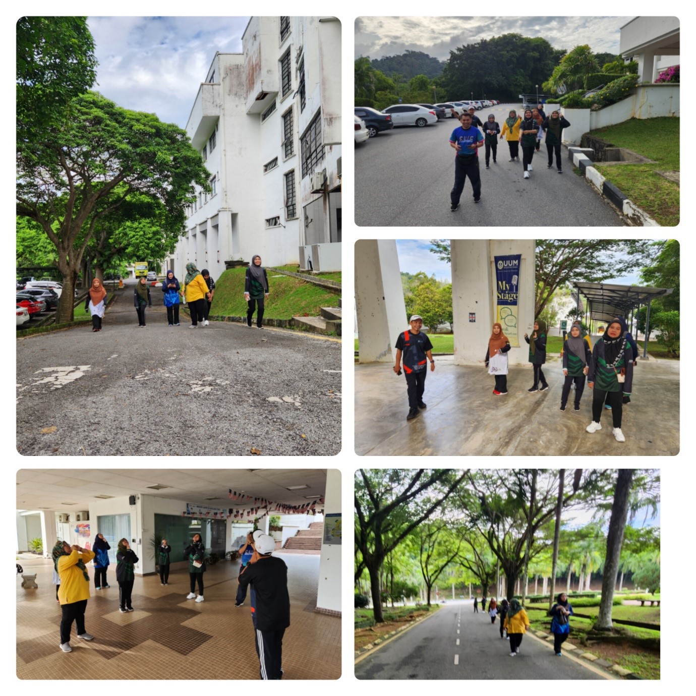 PIC PROG HEALTH WALK